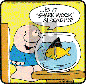 Ziggy - Monday July 20, 2015 Comic Strip
