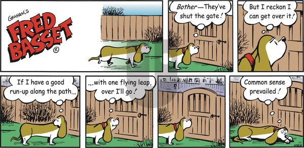 Fred Basset on Sunday April 21, 2019 Comic Strip