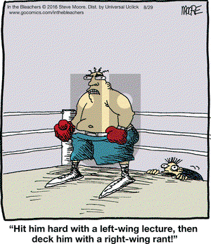 In the Bleachers on Monday August 29, 2016 Comic Strip