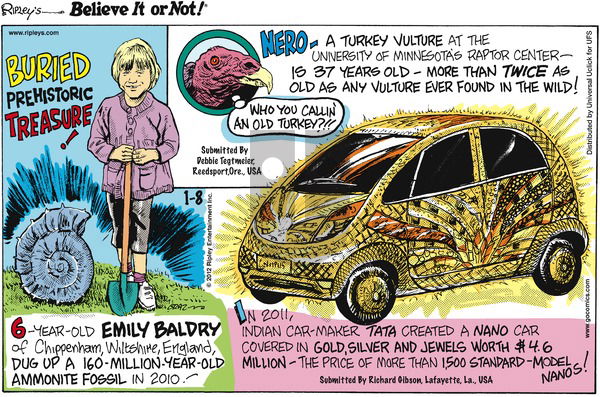 Ripley's Believe It or Not on Sunday January 8, 2012 Comic Strip