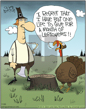 The Flying McCoys on Tuesday November 25, 2014 Comic Strip