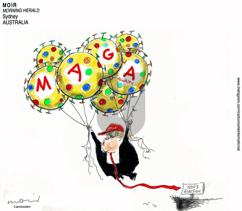 ViewsAsia on Wednesday August 26, 2020 Comic Strip