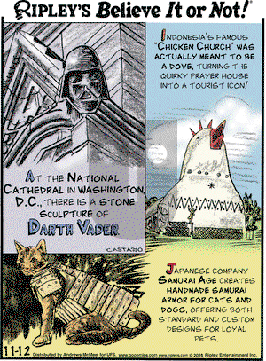 Ripley's Believe It or Not on Wednesday November 12, 2025 Comic Strip