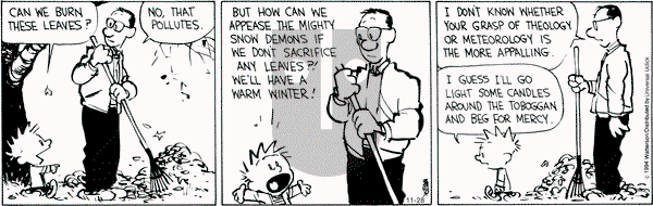 Calvin and Hobbes on Friday November 28, 2014 Comic Strip