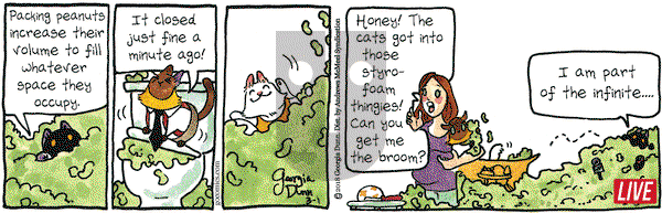 Breaking Cat News on Thursday March 1, 2018 Comic Strip