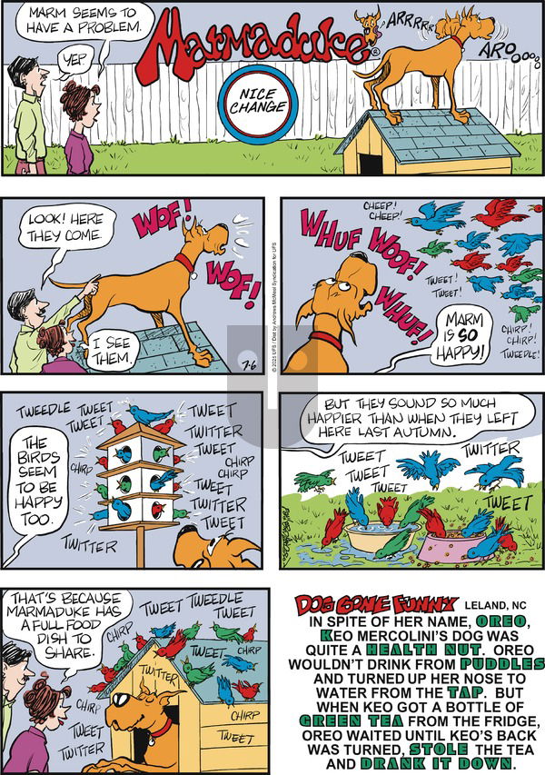 Marmaduke on 2025-07-06 Comic Strip
