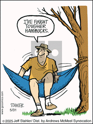 Moderately Confused on Saturday May 31, 2025 Comic Strip
