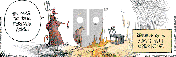 Non Sequitur on Monday January 16, 2017 Comic Strip
