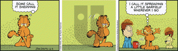 Garfield on Wednesday December 3, 2025 Comic Strip