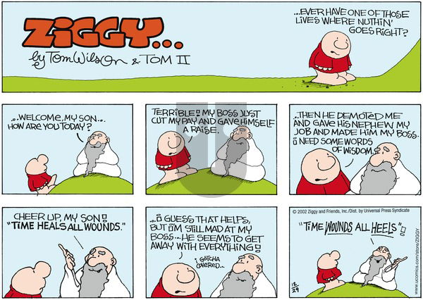Ziggy on Sunday December 29, 2002 Comic Strip