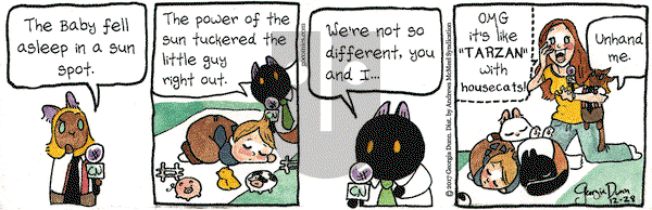 Breaking Cat News on Thursday December 28, 2017 Comic Strip