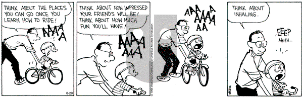 Calvin and Hobbes on 2025-06-20 Comic Strip