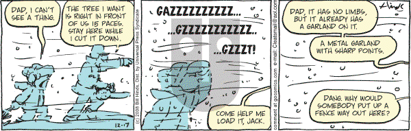 Cleats - Wednesday December 17, 2008 Comic Strip