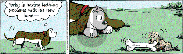Fred Basset on Thursday January 5, 2017 Comic Strip