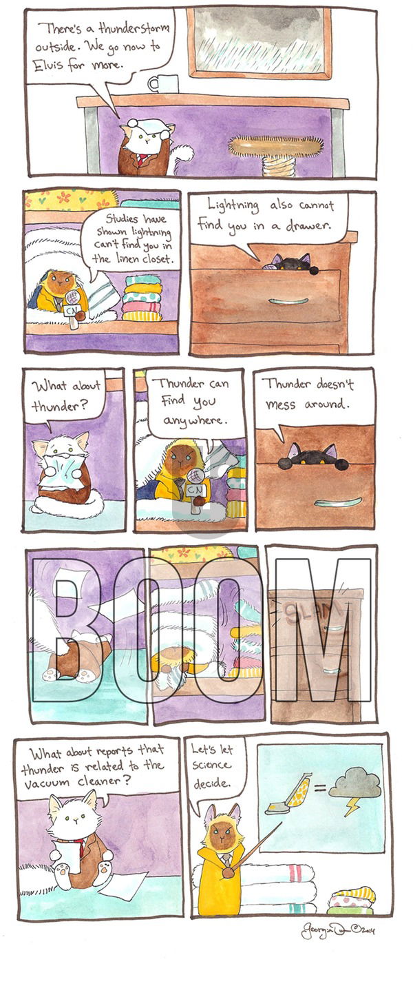 Breaking Cat News on Sunday October 2, 2016 Comic Strip