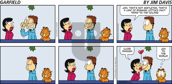 Garfield on Sunday December 11, 2016 Comic Strip