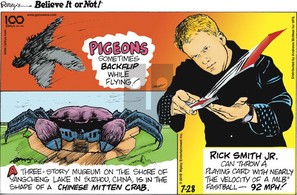 Ripley's Believe It or Not on Sunday July 28, 2019 Comic Strip