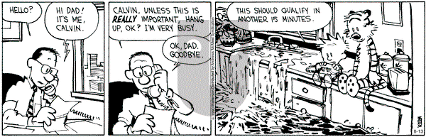 Calvin and Hobbes - Thursday August 13, 2020 Comic Strip