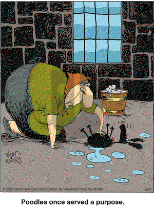 The Flying McCoys on Friday May 27, 2011 Comic Strip