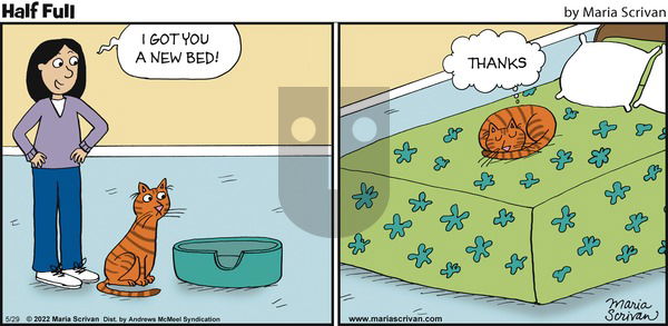 Half Full - Sunday May 29, 2022 Comic Strip