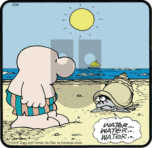 Ziggy - Monday September 26, 2016 Comic Strip