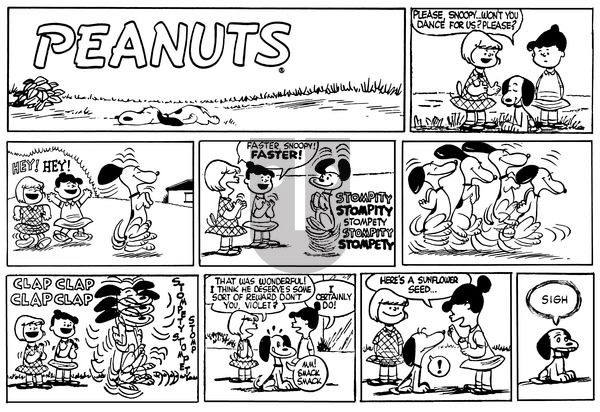 Peanuts on Sunday September 4, 1955 Comic Strip