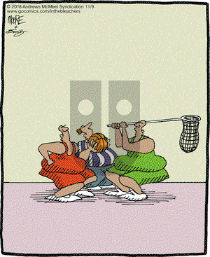 In the Bleachers on Friday November 9, 2018 Comic Strip