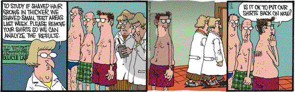 Monty on Monday December 12, 2011 Comic Strip