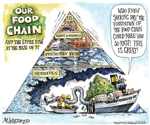 Matt Wuerker on Tuesday December 11, 2012 Comic Strip