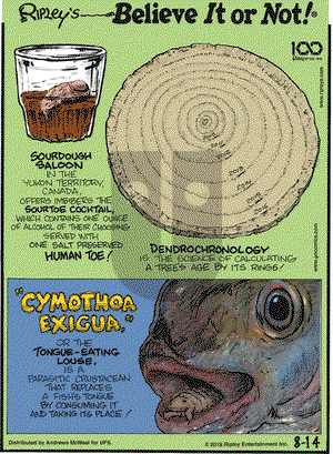 Ripley's Believe It or Not on Wednesday August 14, 2019 Comic Strip