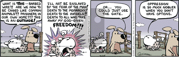 DeFlocked on Tuesday July 29, 2008 Comic Strip