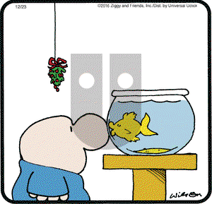 Ziggy on Friday December 23, 2016 Comic Strip