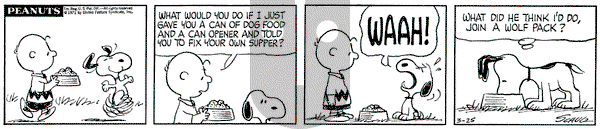 Peanuts on Thursday March 25, 1971 Comic Strip