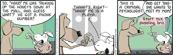 DeFlocked on Thursday June 23, 2011 Comic Strip