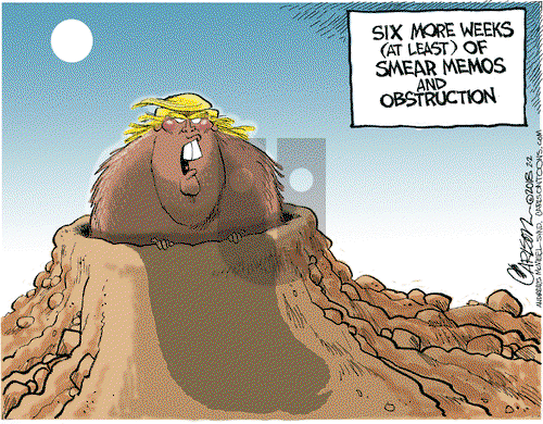 Stuart Carlson on Friday February 2, 2018 Comic Strip