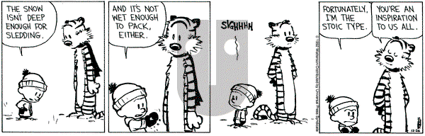 Calvin and Hobbes on Saturday December 26, 1992 Comic Strip