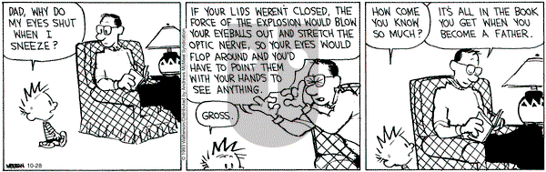 Calvin and Hobbes - Saturday October 28, 2023 Comic Strip