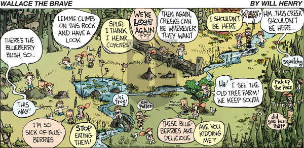 Wallace the Brave on Sunday August 9, 2020 Comic Strip