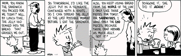 Calvin and Hobbes on Wednesday November 28, 1990 Comic Strip
