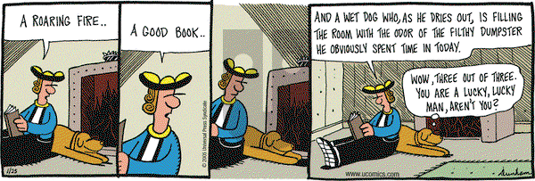 Overboard on Tuesday January 25, 2005 Comic Strip
