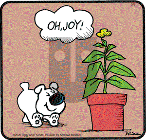 Ziggy on Friday May 8, 2020 Comic Strip