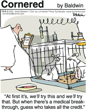 Cornered on Monday December 3, 2001 Comic Strip