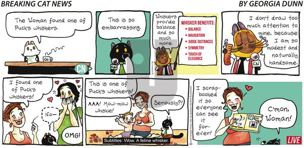Breaking Cat News on Sunday August 12, 2018 Comic Strip