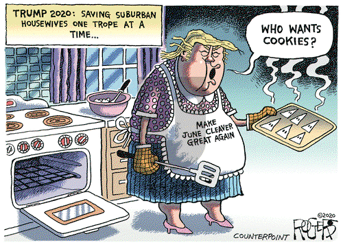 Rob Rogers on Saturday August 15, 2020 Comic Strip