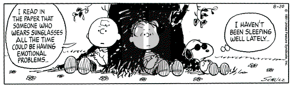 Peanuts on Tuesday August 20, 1991 Comic Strip