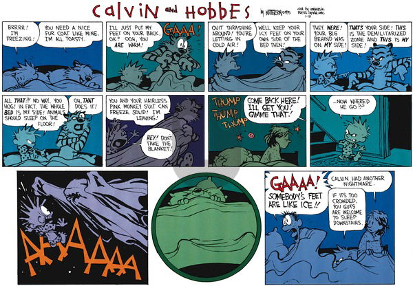 Calvin and Hobbes on Sunday January 18, 2015 Comic Strip