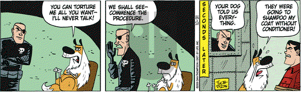 Rip Haywire on Saturday October 31, 2009 Comic Strip