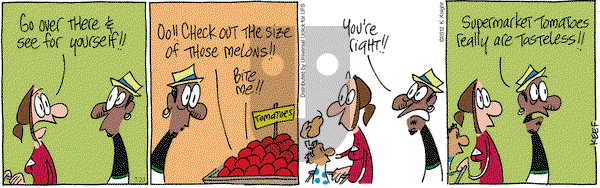 The Knight Life on Monday July 23, 2012 Comic Strip