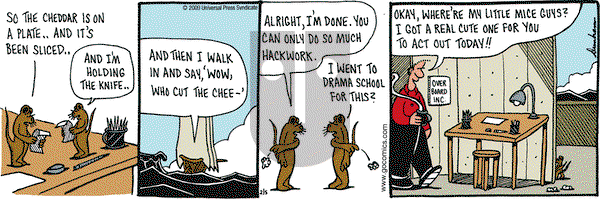 Overboard on Thursday February 5, 2009 Comic Strip