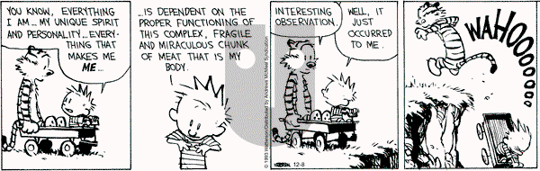 Calvin and Hobbes - Friday December 8, 2023 Comic Strip